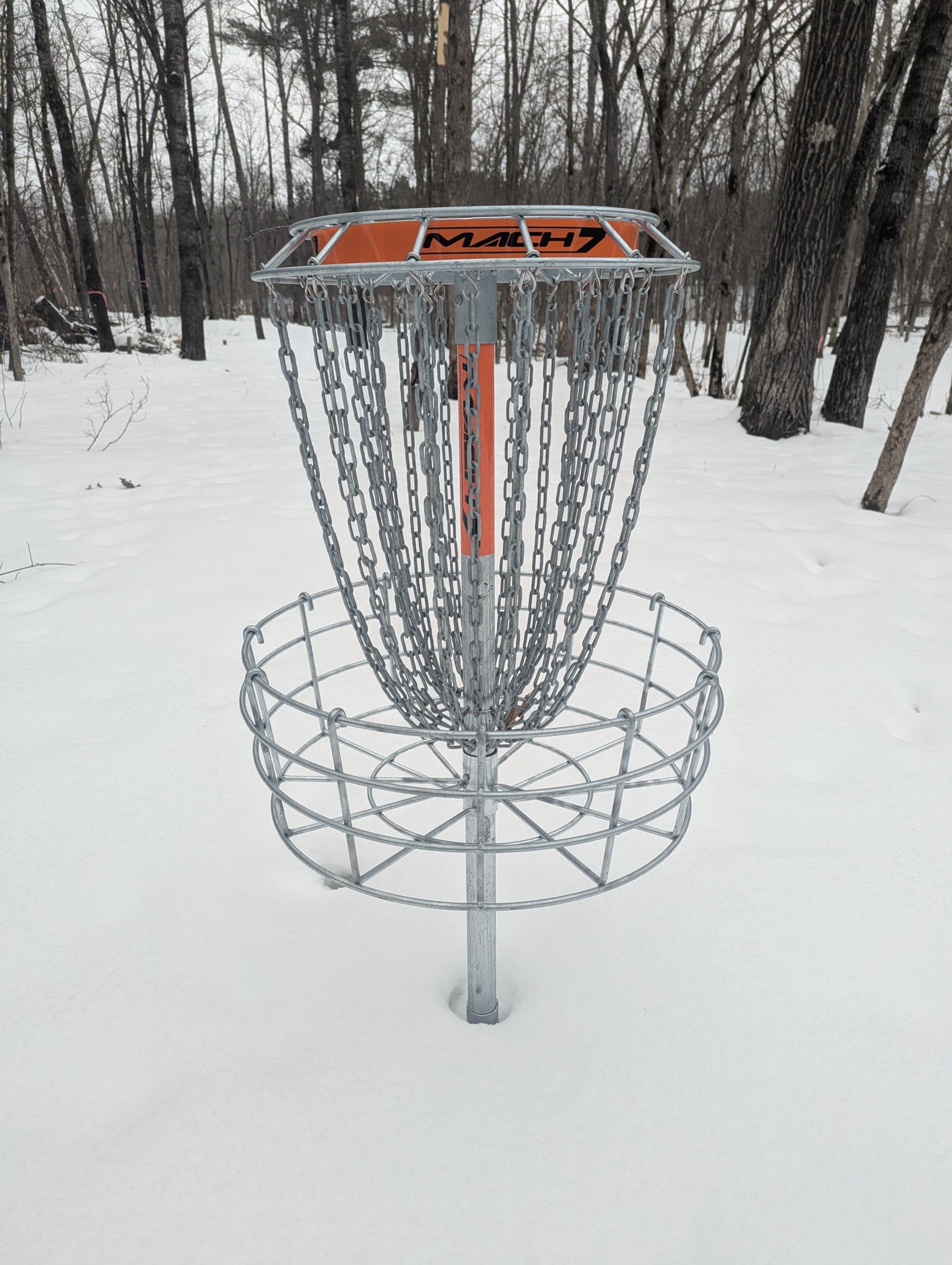 Disc golf course winding through the scenic north woods